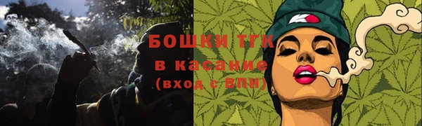 соль ск Абаза