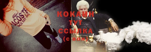 соль ск Абаза