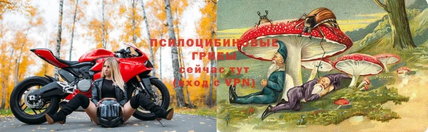 соль ск Абаза