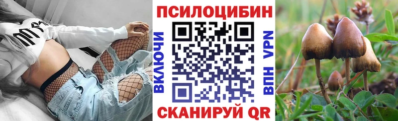 Галлюциногенные грибы Psilocybine cubensis Ржев